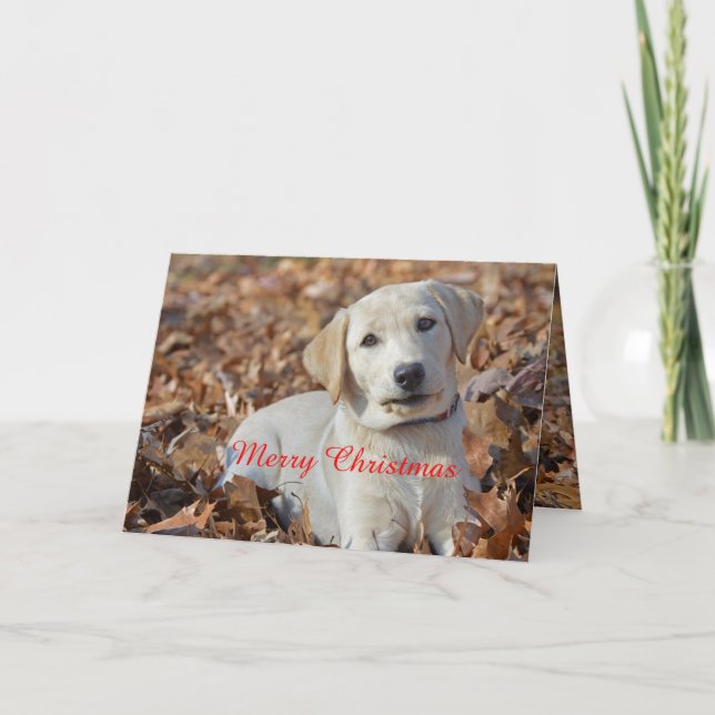 Merry Christmas Yellow Labrador Retriever Holiday Card (Front)