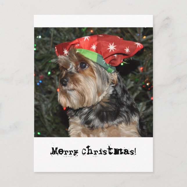 Merry Christmas Yorkshire Terrier Postcard Card (Front)