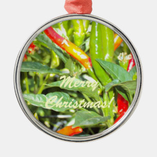 Merry Chritmas Chilli Pepper Ornament