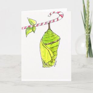 Merry Chrysalis Holiday Card