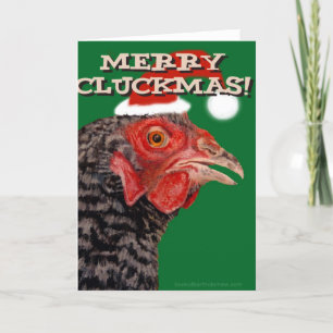 Merry Cluckmas! Holiday Card