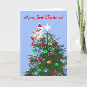 Merry First Christmas Baby Bird Holiday Card