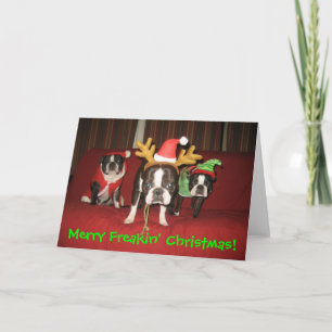 Merry Freakin' Christmas! Holiday Card