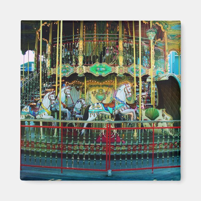 merry-go-round magnet (Front)