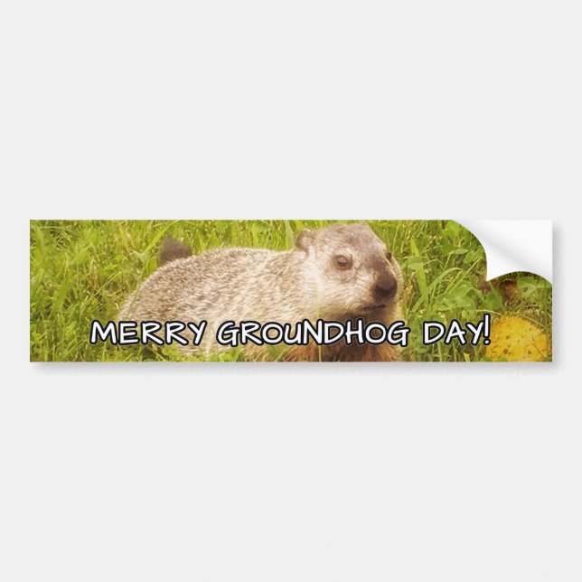 Merry Groundhog Day  bumper sticker (Front)