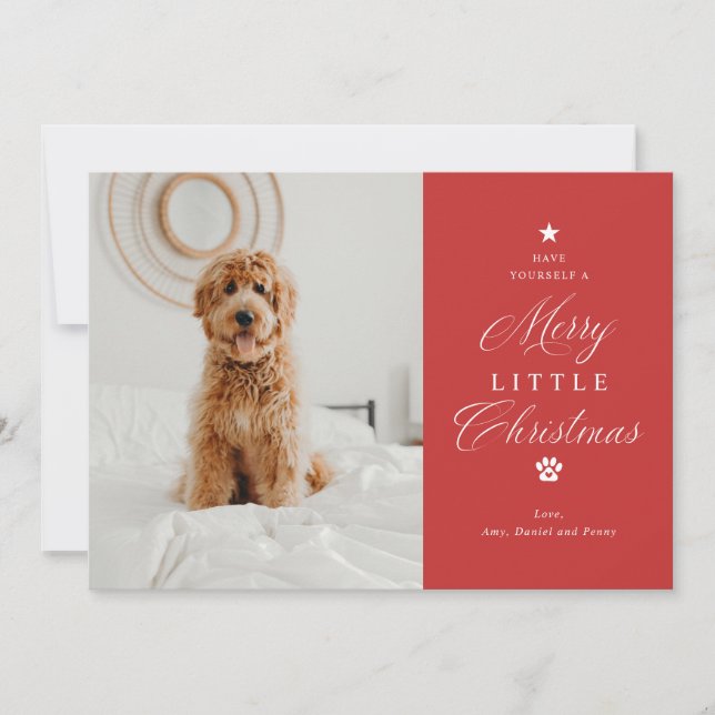 Merry Litte Christmas Pet Photo Flat Holiday Card (Front)