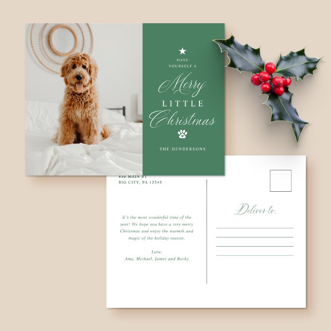 Merry Little Christmas Pet Holiday Postcard (Creator Uploaded)