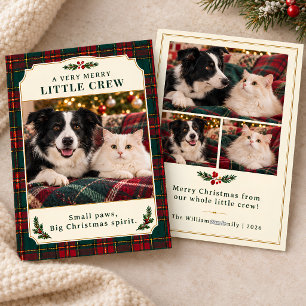 Merry Little Crew Dog Cat Photo Tartan Christmas Holiday Card