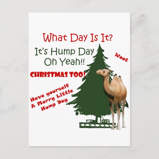Merry Little Hump Day Christmas Holiday Postcard (Front)