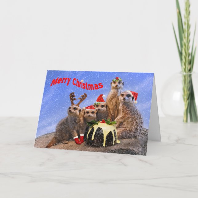 Merry Meerkats Christmas Card (Front)