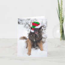 Merry Merry Leonberger Christmas card
