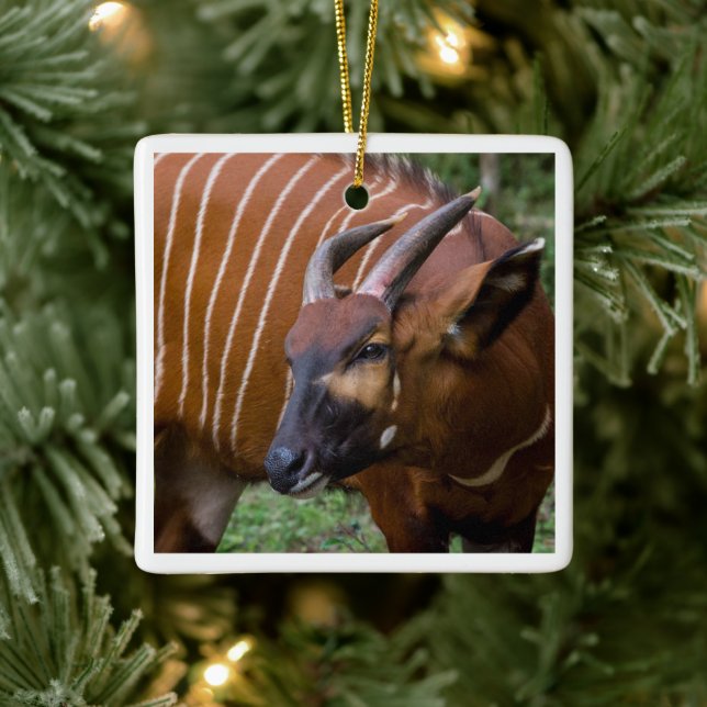 Merry Mountain Bongo Antelope! Ceramic Ornament (Tree)
