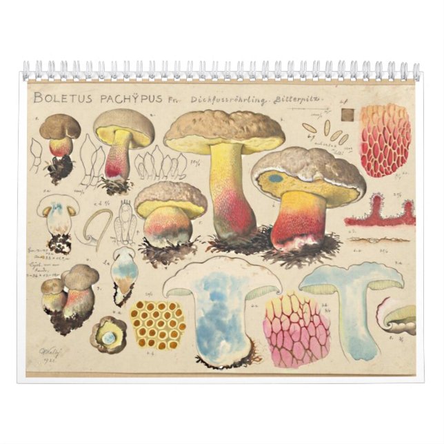 MERRY MUSHROOMS Calendar (Cover)