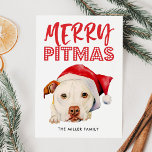Merry Pitmas | Funny Santa Pit Bull Dog Holiday Card<br><div class="desc">Adorable watercolor illustration of a white American pit bull terrier dog with a red santa hat. It says "Merry Pitmas" above the dog. The back of the card has red and white plaid pattern. Perfect card for pit bull lovers and owners so that they could include their pets to the...</div>