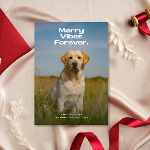 Merry Vibes Forever Dog Photo Christmas Holiday Card