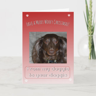Merry Woofy Christmas From One Doggie to Another Holiday Card