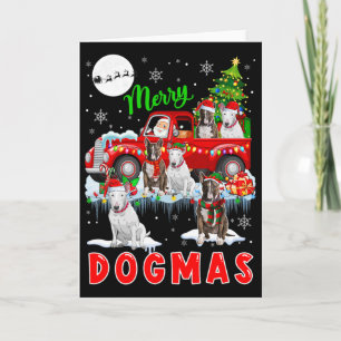Merry Xmas Dog Santa Carrying Bull Terriers On Pic Card