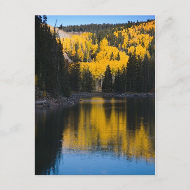 Mesa Lakes in Autumn Postcard (Front)