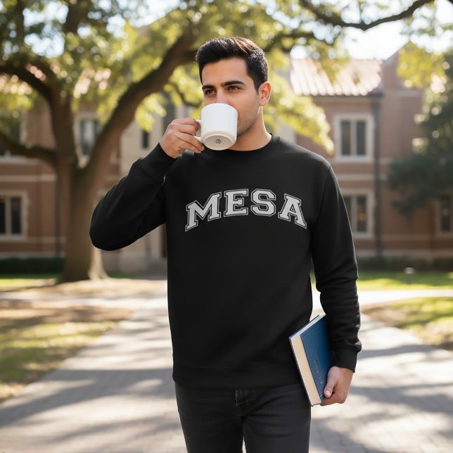 MESA University-Style Sweater America College (Creator Uploaded)