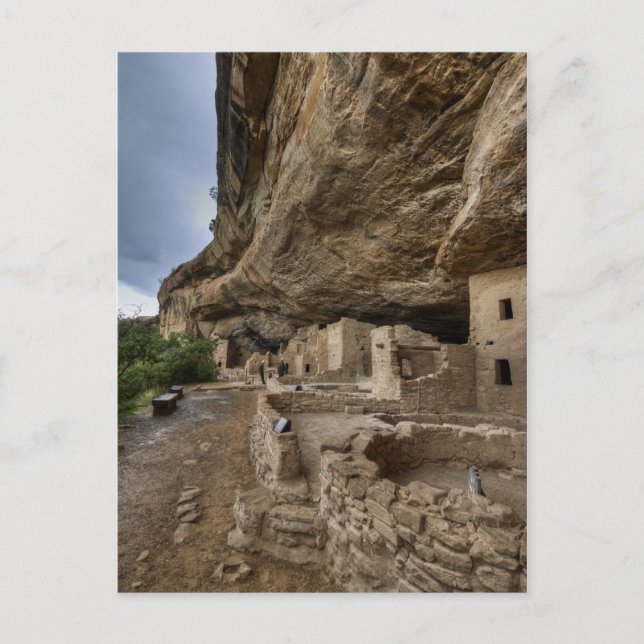 Mesa Verde Cliff Dwellings Postcard (Front)