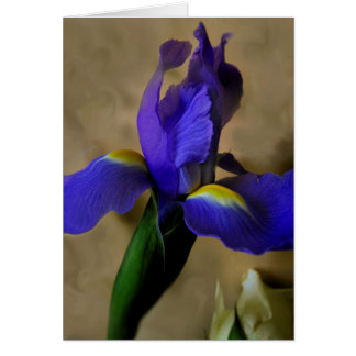 mesmerIrise I