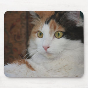 Mesmerised Feline Mouse Pad