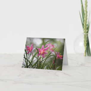 Mesmerising Fairy Lilies Note Card