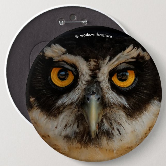 Mesmerising Golden Eyes of a Spectacled Owl 6 Cm Round Badge (Front & Back)