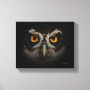 Mesmerising Golden Eyes of a Spectacled Owl Canvas Print