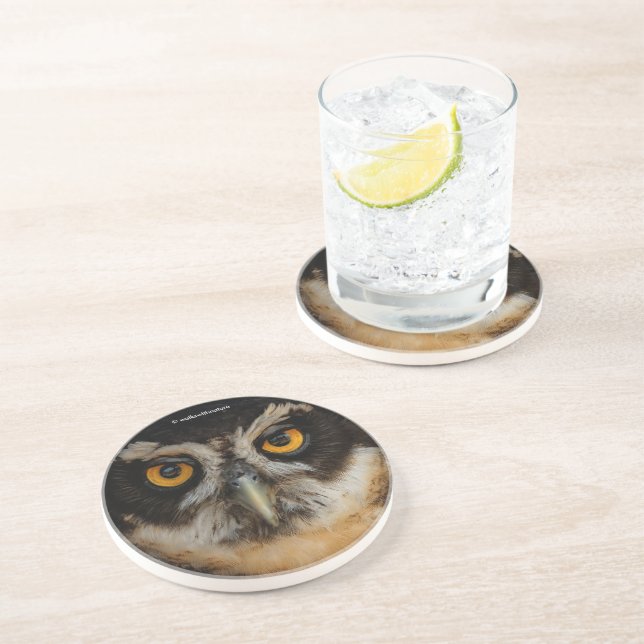Mesmerising Golden Eyes of a Spectacled Owl Coaster (Side)
