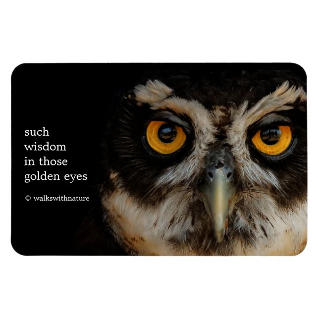 Mesmerising Golden Eyes of a Spectacled Owl Magnet (Horizontal)