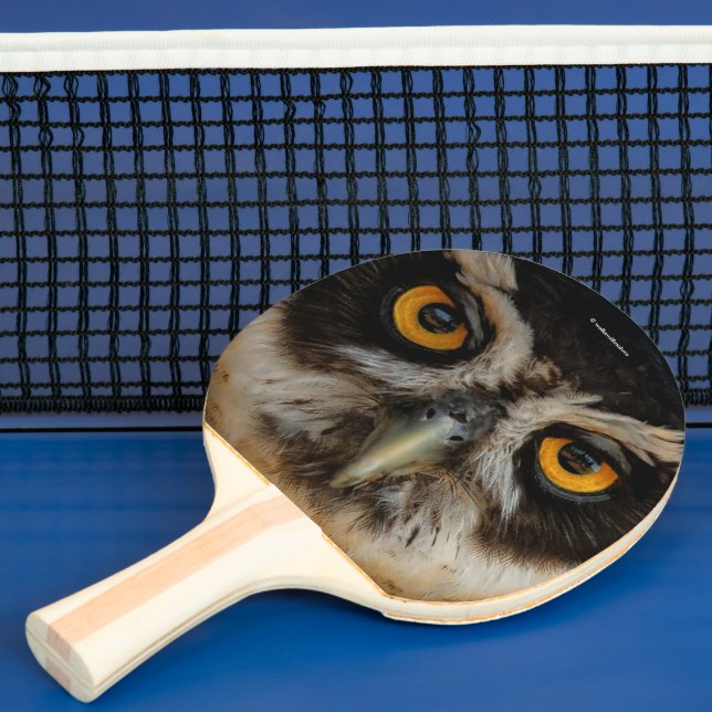 Mesmerising Golden Eyes of a Spectacled Owl Ping Pong Paddle (Insitu)