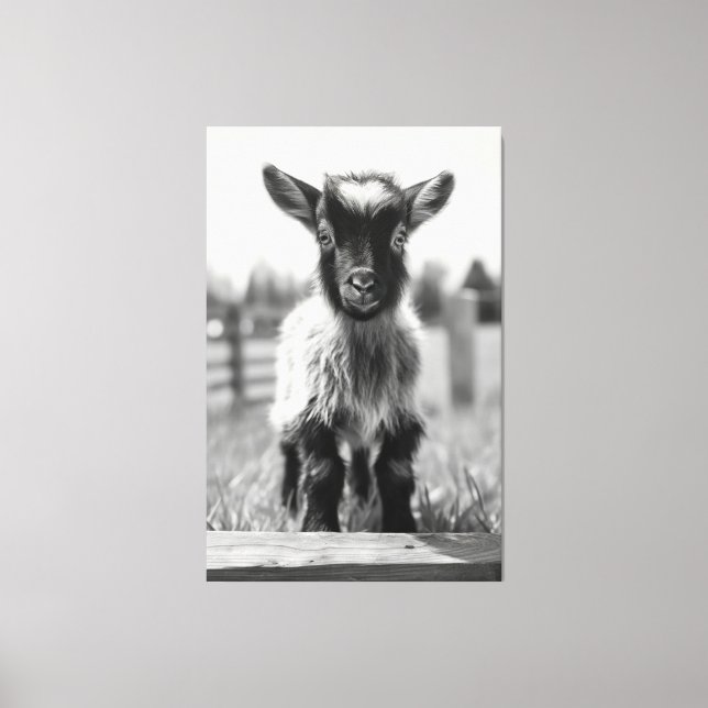 Mesmerising Monochromatic Baby Goat Portrait Canvas Print (Front)