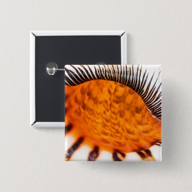 Mesmerising seashell 15 cm square badge (Front & Back)