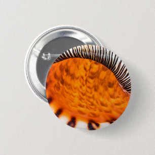 Mesmerising seashell 6 cm round badge