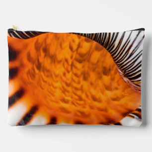 Mesmerising seashell accessory pouch