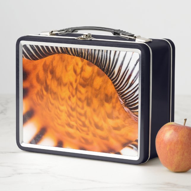 Mesmerising seashell metal lunch box (In Situ)