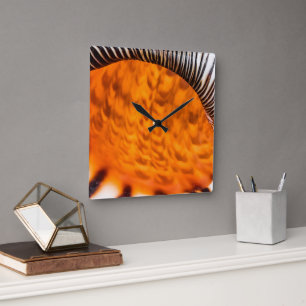 Mesmerising seashell square wall clock