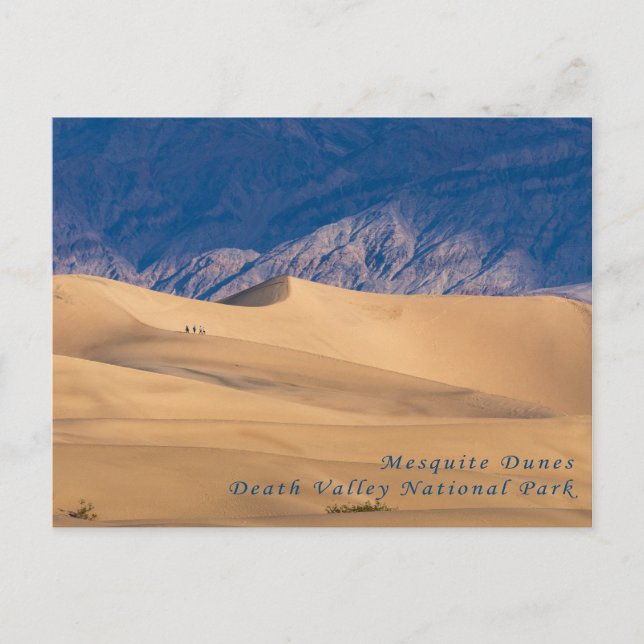 Mesquite Dunes Death Valley National Park Postcard (Front)