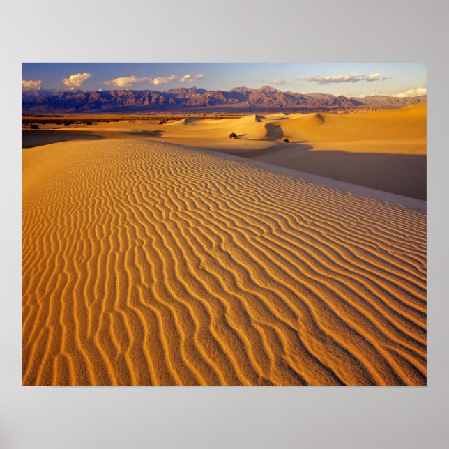 Mesquite Flat Sand dunes in Death Valley Poster (Front)