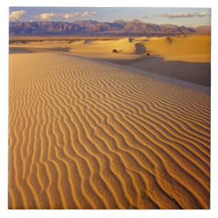 Mesquite Flat Sand dunes in Death Valley Tile