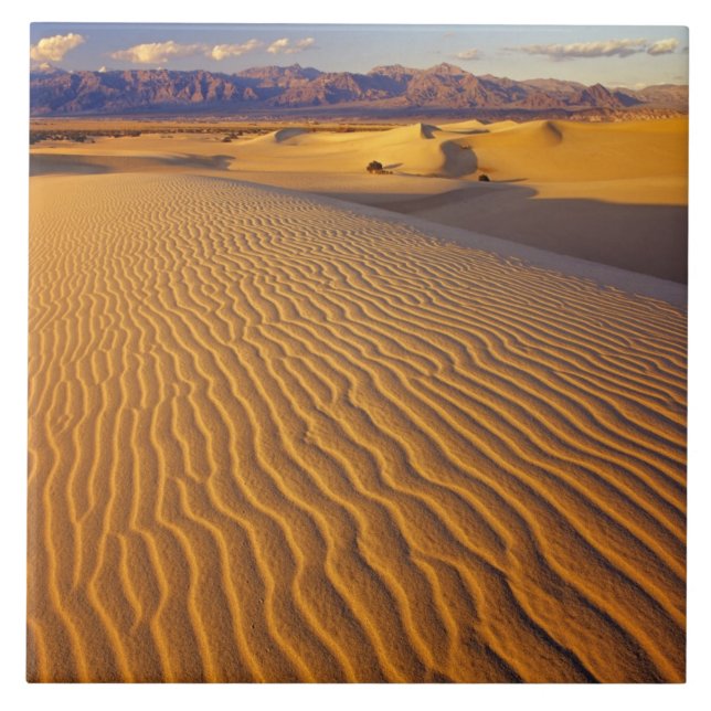 Mesquite Flat Sand dunes in Death Valley Tile (Front)