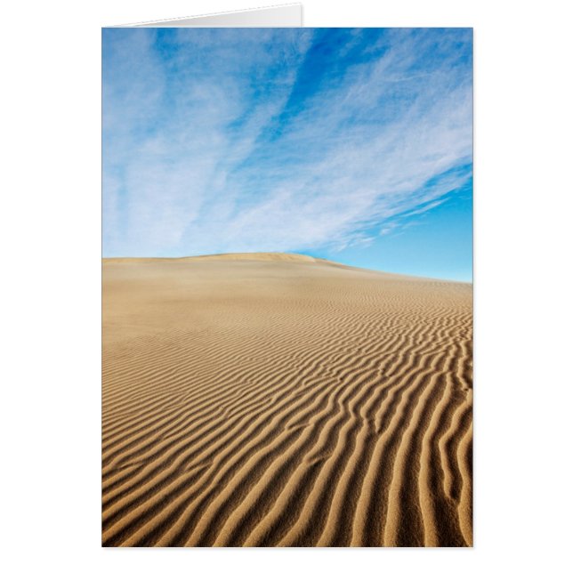Mesquite Flats Sand Dunes (Front)