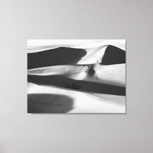 Mesquite Sand Dunes Canvas Print