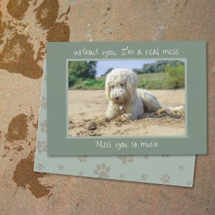 Mess Without You Dog Miss You Card