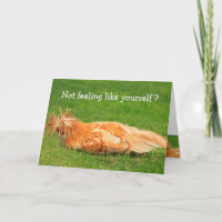 Messy Chicken Get Well