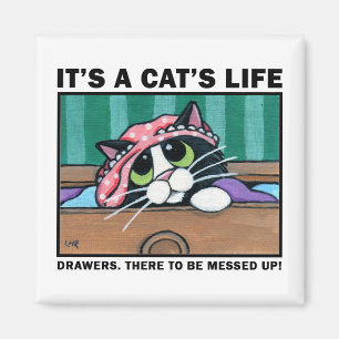 Messy Drawers v.01 - It's A Cat's Life Magnet