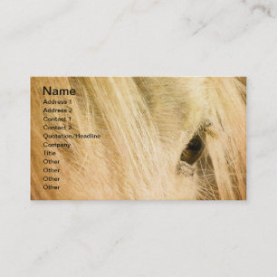 Messy Mane Business Card