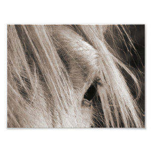 Messy Mane Day Photo Print