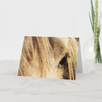 Messy Mane, Father's DAy